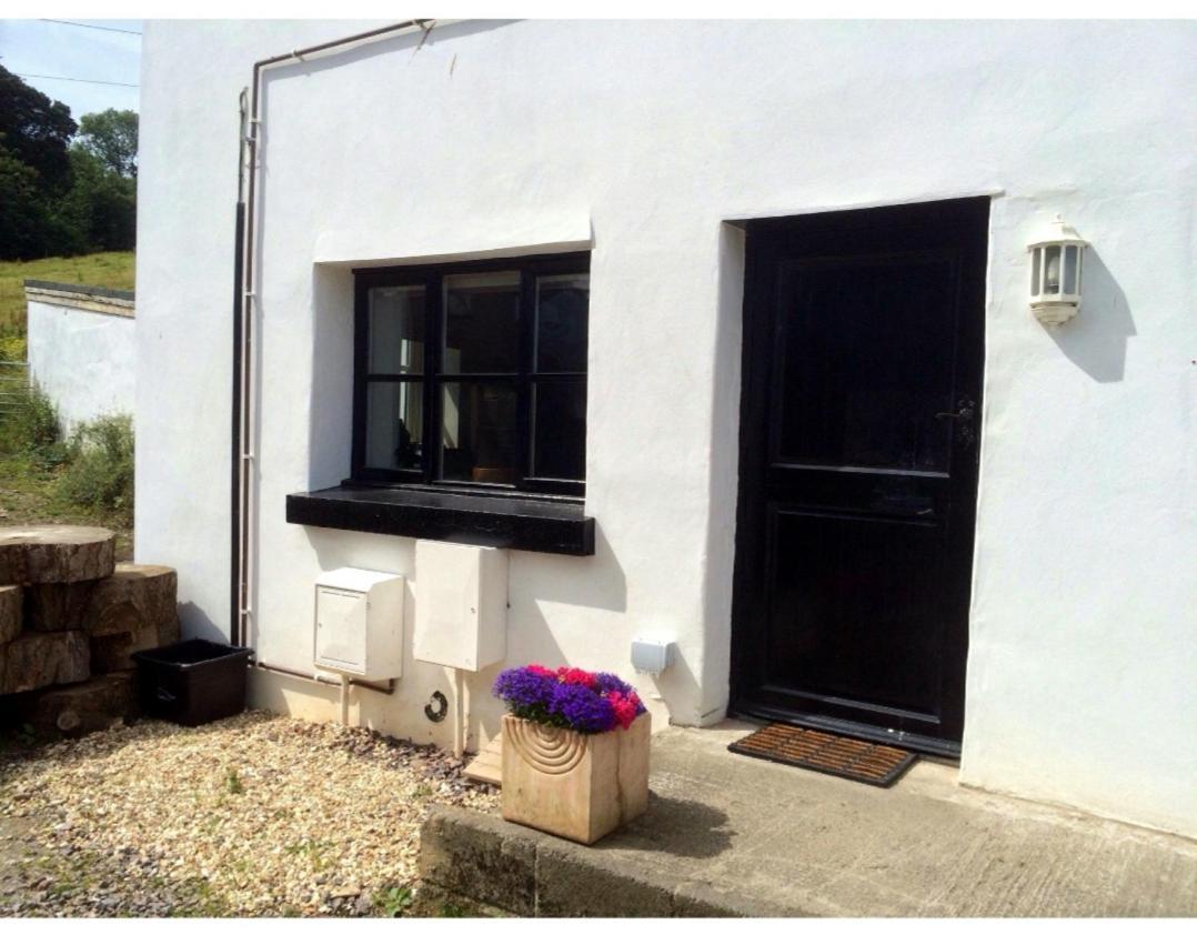 Laston Mews Ілфракомб Екстер'єр фото
